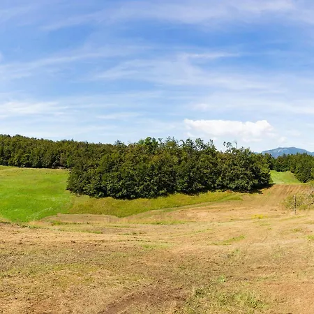 شقة 1 Bedroom Stunning In *