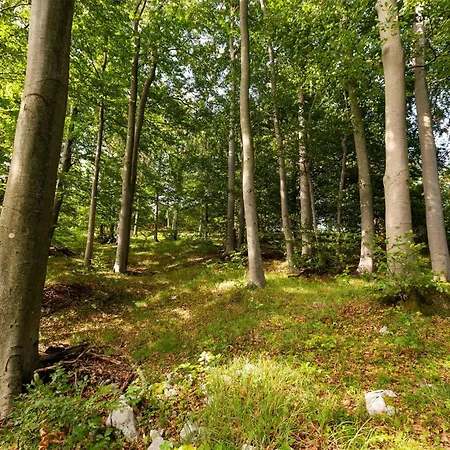 Apartmán 1 Bedroom Stunning In *