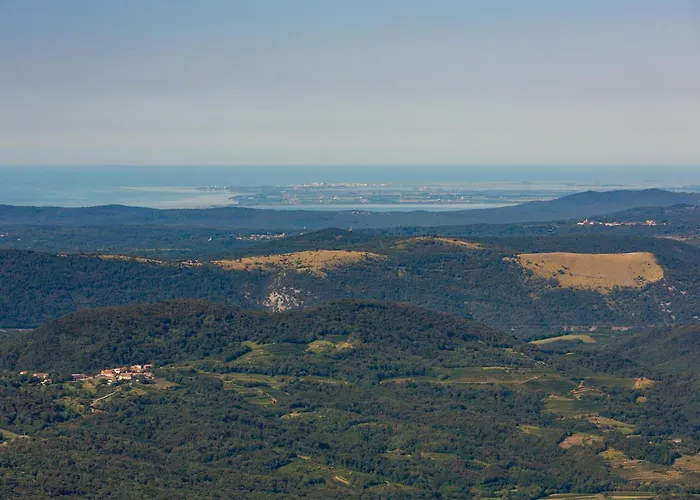 1 Bedroom Stunning In *