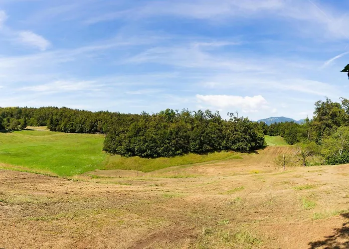 דירה 1 Bedroom Stunning In *