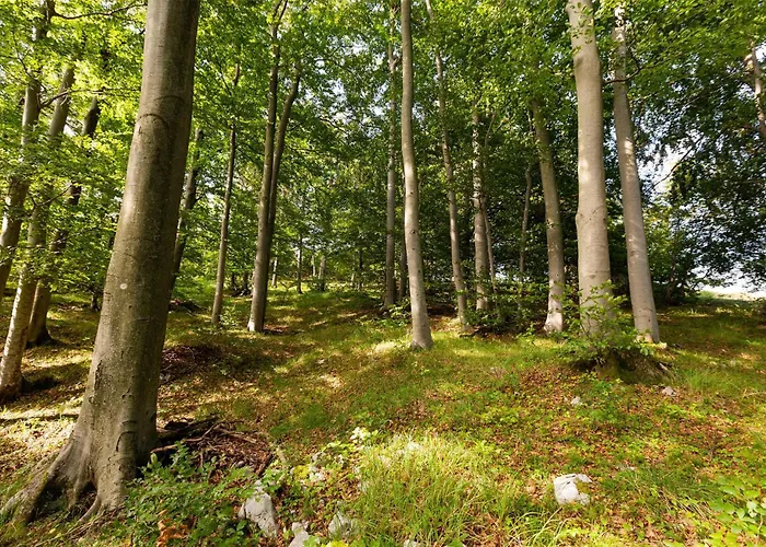 דירה 1 Bedroom Stunning In *